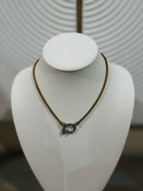 Gold-Tone Chain Necklace with Silver Clasp